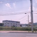 댕뀨 | 뉴강동운전면허학원 운전면허 취득