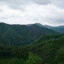 송단교