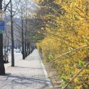 덕수공원 네이버블로그