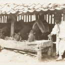 영천교통 노동조합 | 72화. 역참이 사라진 뒤, 영천의 말은 어디로 갔는가