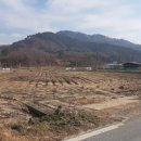 산척면사무소 이미지