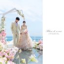Wedding 6 - 스튜디오 계약 후기: 블랑드윈느 부산