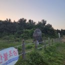 성읍고을식당 | 초등학생 제주도 여행 성읍민속마을 김녕해수욕장 흑돼지고을 아부오름 허브동산 동문시장