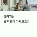 스마일댕댕 | 카페는 기본, 이제 식당도 OK! 반려동물 동반 맛집 찾는 법