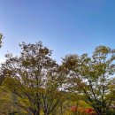 덕유대7영지매점 | [캠핑] 덕유산에서의 짧았던 가을 밤 - 덕유대야영장 7영지 캠핑