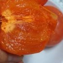 홍시 Daum카페