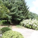 춘천태동요양병원 이미지