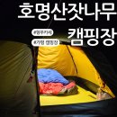 잣나무숲 | 호명산잣나무숲 캠핑장에서 7시간동안 먹기 + 찬물샤워