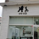 플로라펫 살롱 이미지