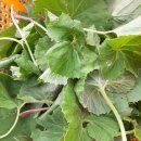 동례농장 이미지