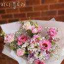 지니플로라