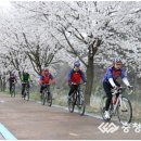 오천자전거길 이미지