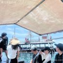 블랙펄호텔 | 세부 자유여행 일정 호핑투어 폼파티가능한 해적호핑 블랙펄 내돈내산 후기