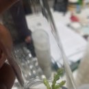 수양목장 이미지