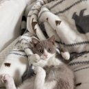 수영센텀온누리약국 이미지