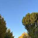 효자로-L 이미지