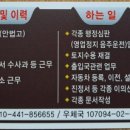 경기교통행정사사무소 네이버블로그