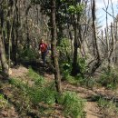 벌교신협 이미지