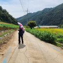 서화터미널 이미지