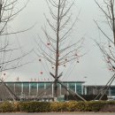 대한국제여유㈜ | 중국 대련 여행 인천공항 제2터미널 대한항공 모닝캄 프레스티지 라운지 이용 후기