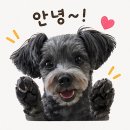 세븐일레븐영월중앙시장점 | 영월 중앙시장 부길닭강정 매운맛 포장 후기, 왕과사는남자 찰영지 근처 먹거리