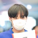 데이리에 Daum카페