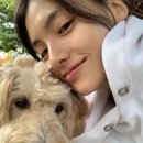 김용지 카카오 검색결과