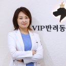 VIP 반려동물 암센터 이미지