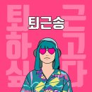 미어캣 티스토리