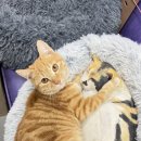 백자로 L 이미지