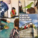 앵무타운 이미지