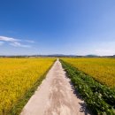 토지보상행정사사무소 이미지