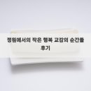 정원에서의 작은 행복 교감의 순간들 후기