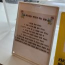 왕천파닭 다정점 | 세종맛집 왕천파닭 양 많고 닭강정처럼 바삭바삭
