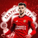 메디칼마운트 이미지