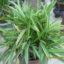 대주 농장 이미지