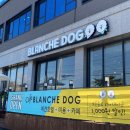 양평애견호텔 이미지