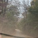 샴프네집 | 경주 불국사 주변 애견동반펜션 달이네집 내돈내산 솔직후기