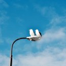 너와 바람개비 이미지