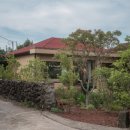 느긋한 시절 이미지