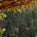 책속에풍덩Terrace 이미지