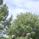 탑정호출렁다리&amp;관촉사미륵사지&amp;한국유교진흥윈(논산시,) 이미지