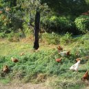 산들농장 이미지