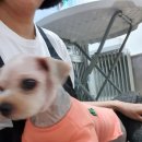 별님과달님 이미지