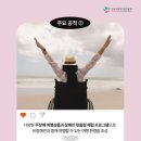 주식회사비전플랜 네이버블로그