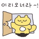 셀립 순라 이미지