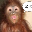 넬미용실