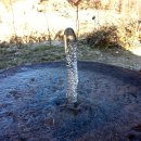 역고드름 이미지