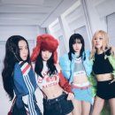 NR-43[은행나무로]-상-119 | Shutdown