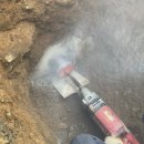 코아&2060 이미지